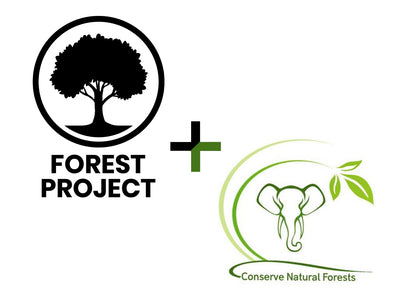 Conserve Natural Forests (CNF) and Reforestation Efforts